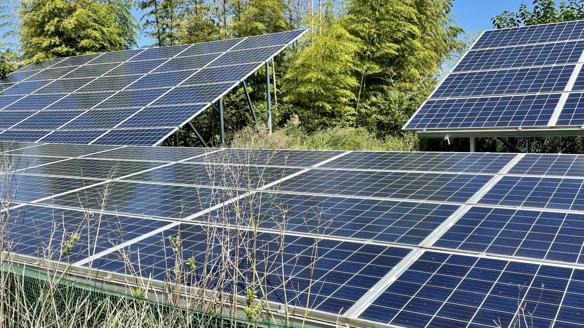 第4位：太陽光発電｜環境に優しく国の支援も受けられる